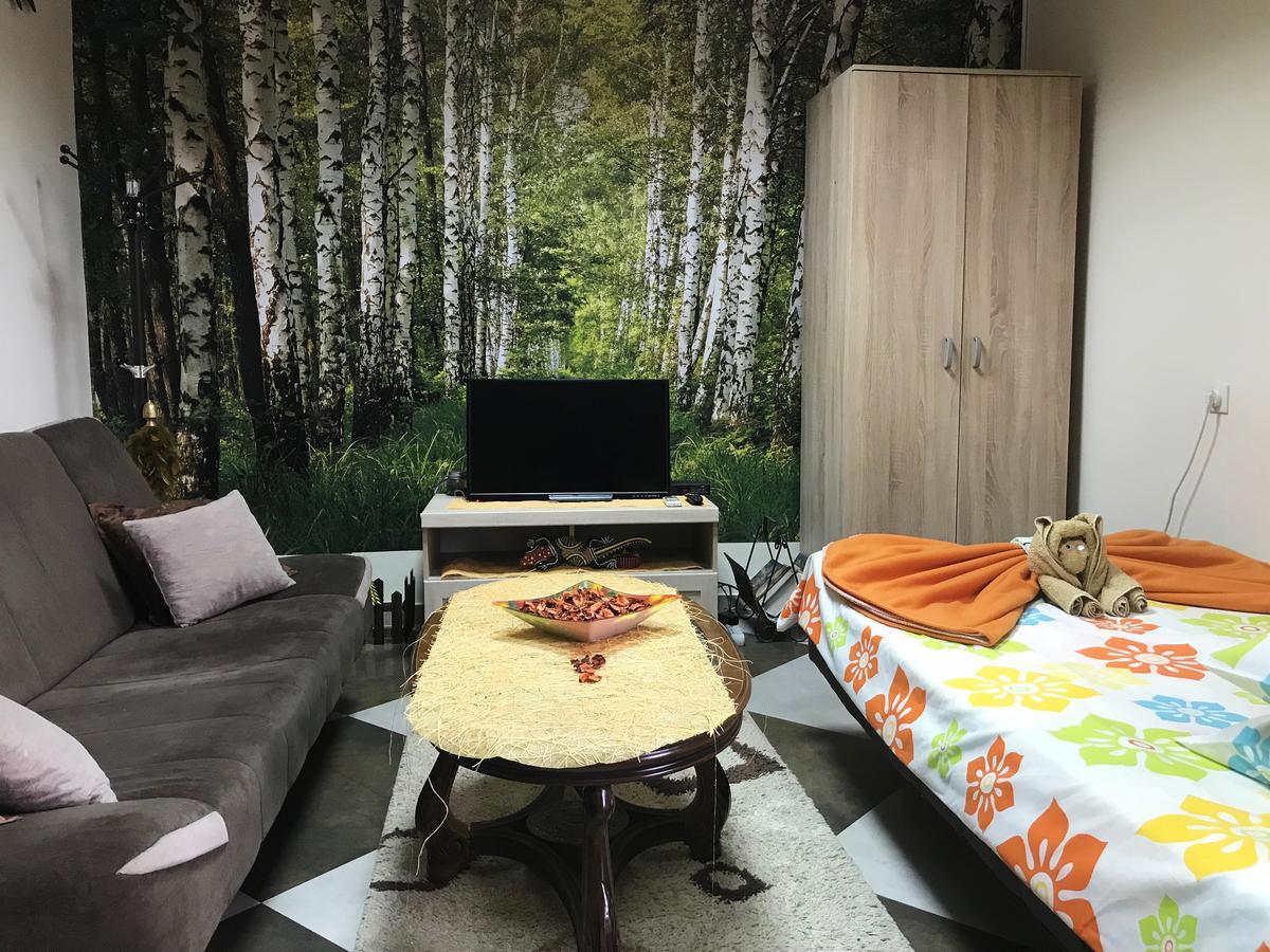 Lana Apartment Podgorica Kültér fotó