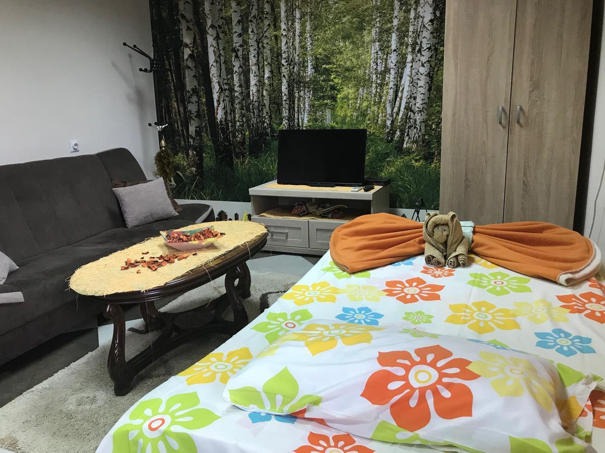 Lana Apartment Podgorica Kültér fotó