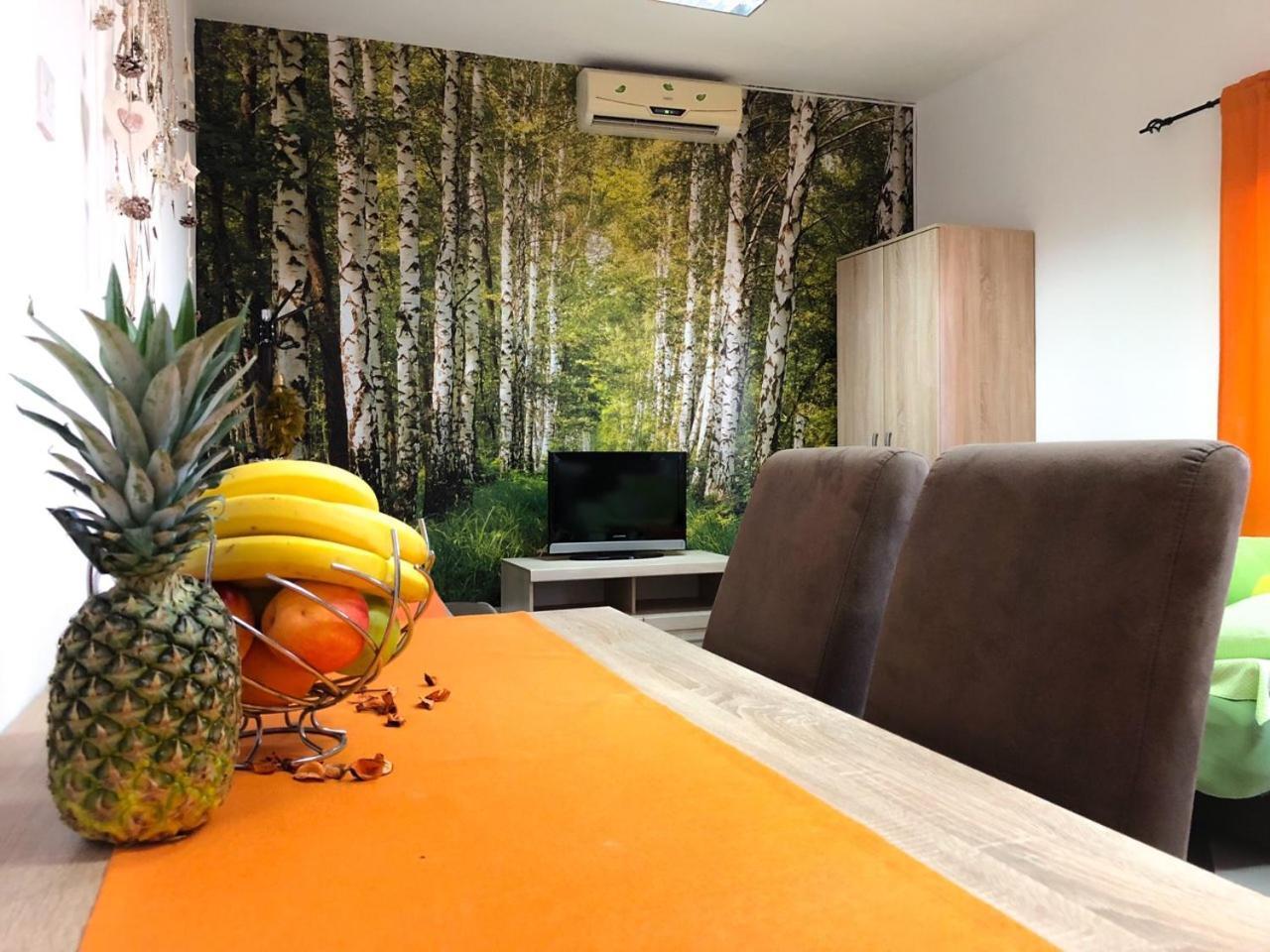 Lana Apartment Podgorica Kültér fotó